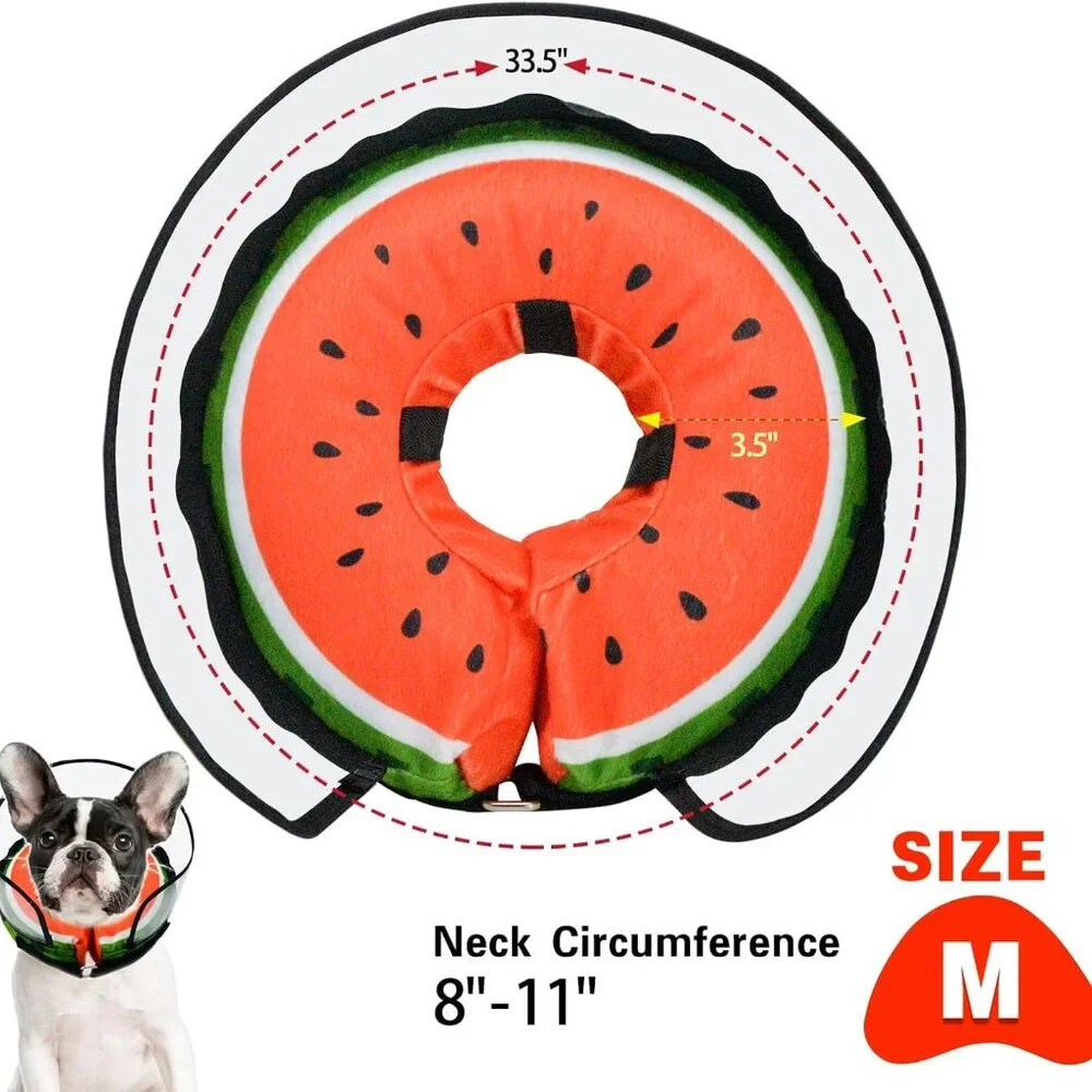 Adorable Watermelon Inflatable Pet Recovery Collar – Size Medium